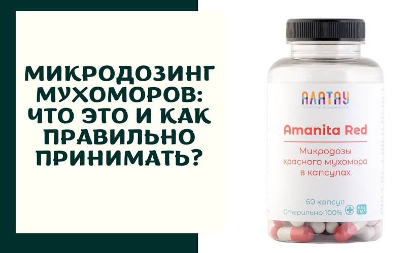Микродозинг мухоморов в России: ядовитый гриб набирает популярность Микродозинг мухоморов в России: ядовитый гриб набирает популярность