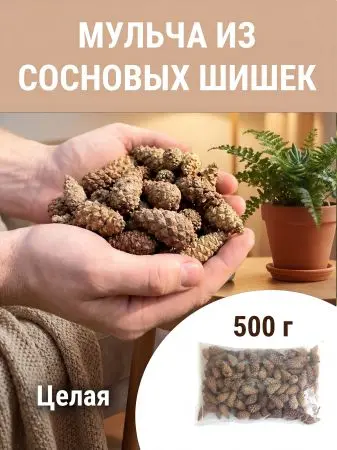 Мульча для сада из шишек целая 500 гр Мульча для сада из шишек целая 500 гр